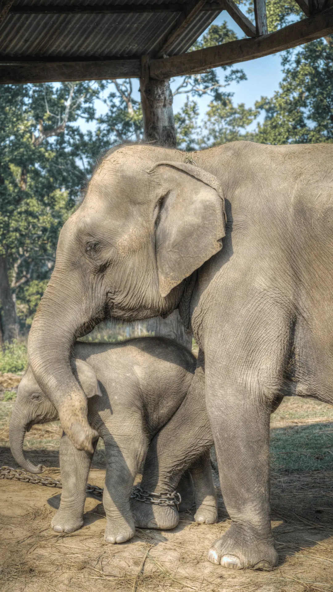 Chitwan National Park