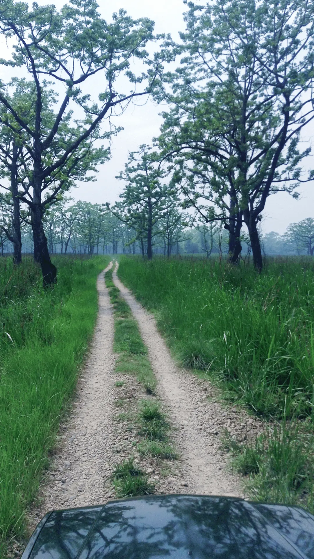 Chitwan National Park